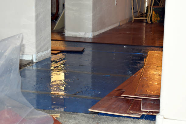 Professional Flood Damage Cleanup technician working in Bonita Springs, FL